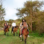 Advanced Horse Riding Experience – Sightseeing and Tours Bahrain Mega Deals Best Online Shopping Deals and Discounts in Bahrain, GCC 3