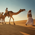 Camel Trekking Experience In Abu Dhabi With Transfers In Land Cruiser – Top-Rated Attractions Bahrain Mega Deals Best Online Shopping Deals and Discounts in Bahrain, GCC 3