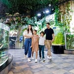 Dubai Aquarium & Underwater Zoo – Ultimate Experience – Experiences Bahrain Mega Deals Best Online Shopping Deals and Discounts in Bahrain, GCC 3