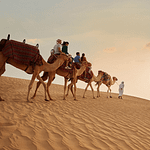 Dubai Sunset Safari Delight with BBQ dinner and camel ride – Desert safaris Bahrain Mega Deals Best Online Shopping Deals and Discounts in Bahrain, GCC 3