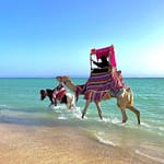 Full Day Obhur & Beach Tour With Transfers – Recently Added Experiences Bahrain Mega Deals Best Online Shopping Deals and Discounts in Bahrain, GCC 3