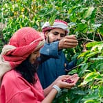 Hike with a local coffee farmer – Recently Added Experiences Bahrain Mega Deals Best Online Shopping Deals and Discounts in Bahrain, GCC 3