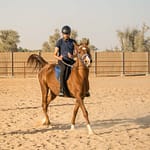 Horse Riding At Mleiha Arena – Sports Events Bahrain Mega Deals Best Online Shopping Deals and Discounts in Bahrain, GCC 3