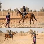 Horse Riding Training Course One Session – Sports Events Bahrain Mega Deals Best Online Shopping Deals and Discounts in Bahrain, GCC 3