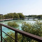 Jubail Mangrove Park – Boardwalk Experience – Recently Added Experiences Bahrain Mega Deals Best Online Shopping Deals and Discounts in Bahrain, GCC 3