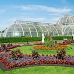 Kew Gardens Entry Ticket – Recently Added Experiences Bahrain Mega Deals Best Online Shopping Deals and Discounts in Bahrain, GCC 3