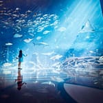 Lost Chambers Aquarium – Experiences Bahrain Mega Deals Best Online Shopping Deals and Discounts in Bahrain, GCC 3