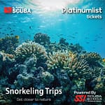 Snorkeling Daily Trips in Jeddah – Attractions Special Offers Bahrain Mega Deals Best Online Shopping Deals and Discounts in Bahrain, GCC 3