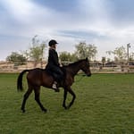 Sunset Horse Riding at Al Marmoom Oasis with a 6-Course Bedouin Dinner – Outdoor Attractions Bahrain Mega Deals Best Online Shopping Deals and Discounts in Bahrain, GCC 3