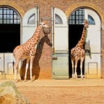 ZSL London Zoo – Top-Rated Attractions Bahrain Mega Deals Best Online Shopping Deals and Discounts in Bahrain, GCC 3