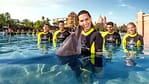 Dolphin Bay Experiences – Water Parks Bahrain Mega Deals Best Online Shopping Deals and Discounts in Bahrain, GCC 4