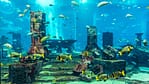 Dubai Aquarium & Underwater Zoo – All Access Pass – Experiences Bahrain Mega Deals Best Online Shopping Deals and Discounts in Bahrain, GCC 4