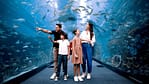 Dubai Aquarium & Underwater Zoo – Ultimate Experience – Experiences Bahrain Mega Deals Best Online Shopping Deals and Discounts in Bahrain, GCC 4