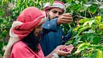 Hike with a local coffee farmer – Recently Added Experiences Bahrain Mega Deals Best Online Shopping Deals and Discounts in Bahrain, GCC 4