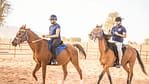 Horse Riding At Mleiha Arena – Sports Events Bahrain Mega Deals Best Online Shopping Deals and Discounts in Bahrain, GCC 4