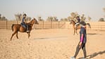 Horse Riding Training Course One Session – Sports Events Bahrain Mega Deals Best Online Shopping Deals and Discounts in Bahrain, GCC 4