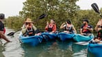 Kayaking in the Mangroves – Boat Tours and Cruises Bahrain Mega Deals Best Online Shopping Deals and Discounts in Bahrain, GCC 4