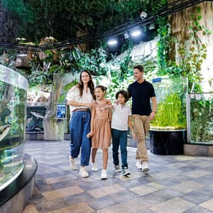 Dubai Aquarium & Underwater Zoo – Ultimate Experience – Experiences Bahrain Mega Deals Best Online Shopping Deals and Discounts in Bahrain, GCC