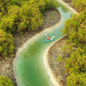 Guided Kayak Tour in the Reem Central Park Mangroves – Water Sports Bahrain Mega Deals Best Online Shopping Deals and Discounts in Bahrain, GCC