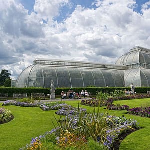 Kew Gardens & Kew Palace: Admission Ticket – Top-Rated Attractions Bahrain Mega Deals Best Online Shopping Deals and Discounts in Bahrain, GCC