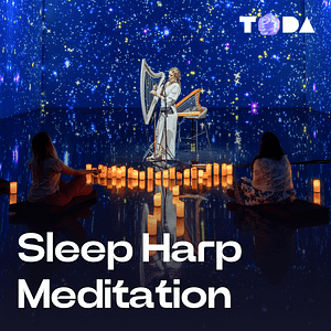 ToDA – Sleep Harp Meditation – Theatre of Digital Art Bahrain Mega Deals Best Online Shopping Deals and Discounts in Bahrain, GCC