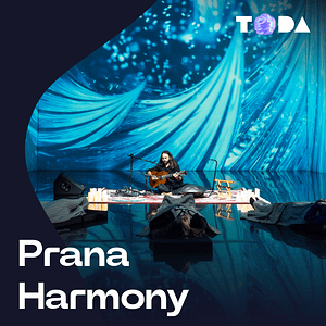 ToDA – Prana Harmony – Theatre of Digital Art Bahrain Mega Deals Best Online Shopping Deals and Discounts in Bahrain, GCC