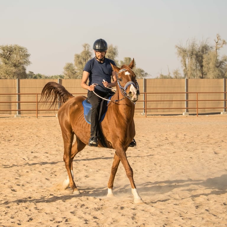 Horse Riding At Mleiha Arena – Sports Events Bahrain Mega Deals Best Online Shopping Deals and Discounts in Bahrain, GCC