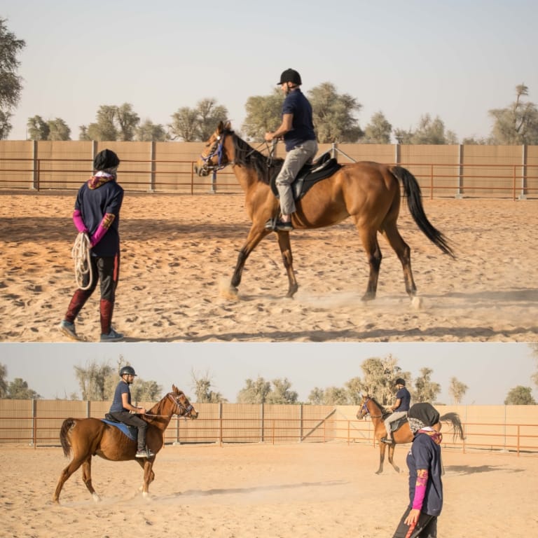 Horse Riding Training Course One Session – Sports Events Bahrain Mega Deals Best Online Shopping Deals and Discounts in Bahrain, GCC