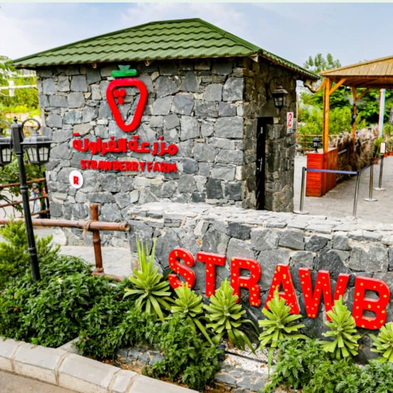 Strawberry Farm – Top-Rated Attractions Bahrain Mega Deals Best Online Shopping Deals and Discounts in Bahrain, GCC