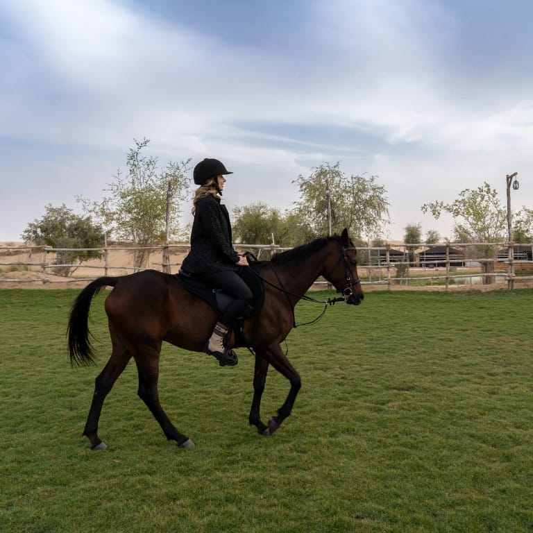 Sunset Horse Riding at Al Marmoom Oasis with a 6-Course Bedouin Dinner – Outdoor Attractions Bahrain Mega Deals Best Online Shopping Deals and Discounts in Bahrain, GCC